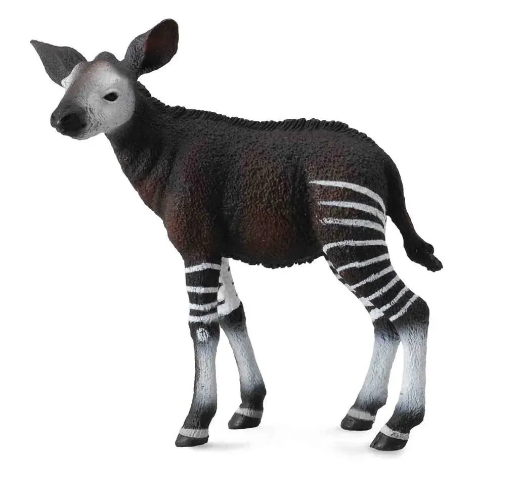 okapi-ciele-collecta