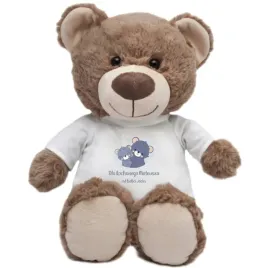 mis-z-imieniem-dziecka-pluszowy-prezent-teddy