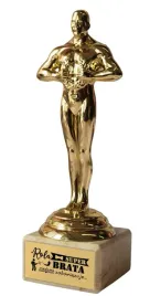 statuetka-wiktor-slub-podziekowania-rola-super-brata-zobowiazuje-poz121