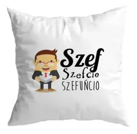 poduszka-biuro-praca-szef-galeria-wzorow