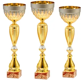 komplet-zestaw-pucharow-nagroda-turniej-konkurs-zawody-nadruk-38-43-cm