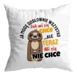 poduszka-prezent-leniwiec-ale-teraz-mi-sie-nie-chce-zabawny-smieszny
