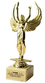 statuetka-wiktoria-slub-podziekowania-puchar-super-zespolu-weselnego-poz27