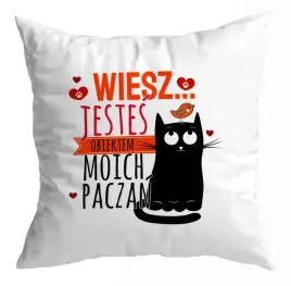 poduszka-prezent-walentynki-jestes-obiektem-paczen