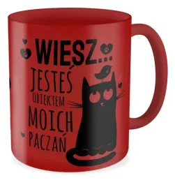 kubek-prezent-walentynki-jestes-obiektem-paczan