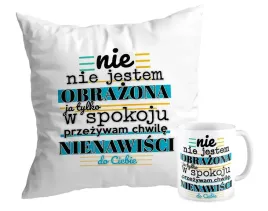 zestaw-poduszka-kubek-zabawny-chwila-nienawisci