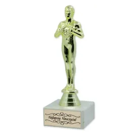 statuetka-wiktor-na-dzien-nauczyciela-duzo-wzorow-m1