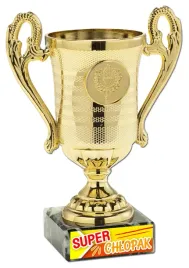 puchar-prezent-na-dzien-chlopaka-super-chlopak-szkola-pac309