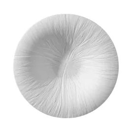 fine-dine-fiord-talerz-do-pasty-o-290-mm