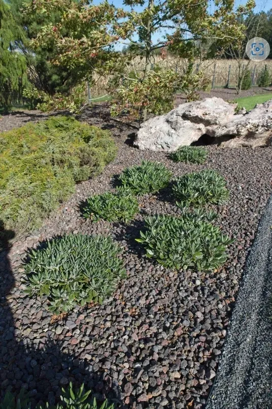 prawdziwa-lawa-wulkaniczna-do-ogrodu-20-60mm-15kg-zwir-grys-gardenstones