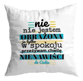 poduszka-zabawna-prezent-nie-jestem-obrazona