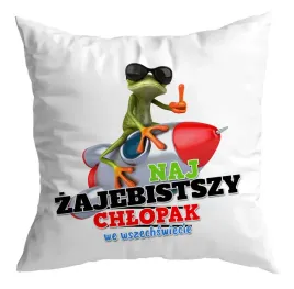 poduszka-prezent-zaba-zajebisty-chlopak-facet