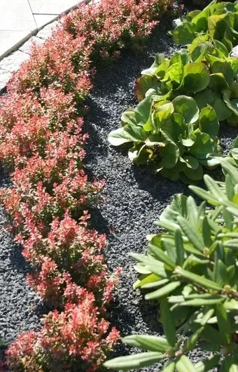 grys-bazaltowy-bazalt-8-16-mm-kamien-ogrod-big-bag-1200kg-12t-stan-nowy