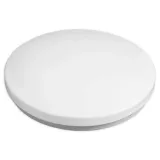plafon-combuh-bialy-24w-30cm