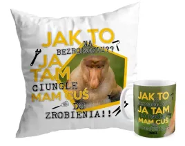 zestaw-podusza-kubek-prezent-janusz-nosacz