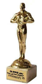 statuetka-wiktor-slub-podziekowania-za-role-super-starosty-poz118
