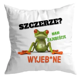 poduszka-prezent-zaba-mam-zajebiscie-wyjeb-ne