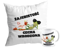 zestaw-poduszka-kubek-zaba-cecha-zajebistosc