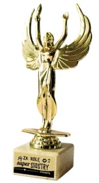 statuetka-wiktoria-slub-podziekowania-za-role-super-siostry-poz120