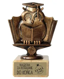 statuetka-brazowa-sowa-absolwent-nagroda-za-wytrwanie-do-konca-szkoly-u310
