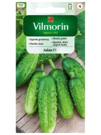 ogorek-gruntowy-julian-mieszaniec-wczesna-vilmorin-plenny-odporny