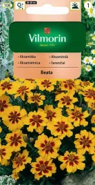 vilmorin-aksamitka-nasiona-kwiatow-rozpierzchla-pojedyncza-beata-1-g