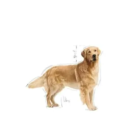 royal-canin-bhn-golden-retriever-sucha-karma-dla-psa-doroslego-12-kg-ro