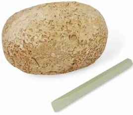 jajo-jajko-dinozaura-z-dlutkiem-skamielina-wykopaliska-buki