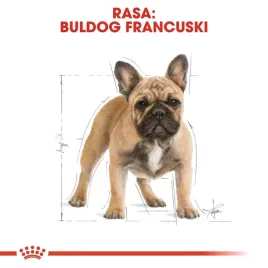 royal-canin-bhn-french-bulldog-adult-sucha-karma-dla-psa-doroslego-9kg
