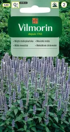 mieta-meksykanska-01g-nasiona-vilmorin-aromatyczna-fioletowe-kwiaty