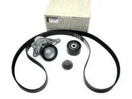 zestaw-paska-alternatora-trafic-vivaro-megane-scenic-iii-2-0-dci-oryg