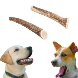 4dogs-gryzak-dla-psa-z-poroza-jelenia-twardy-l-dla-psa-przysmak-naturalny