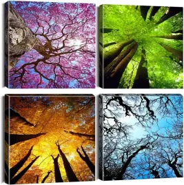 wydruki-na-plotnie-4-sztuki-cztery-pory-roku-lasu-grafika-scienna-30-x-30cm