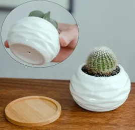 doniczka-ceramiczna-mini-ozdobna-biala-z-drewniana-podkladka