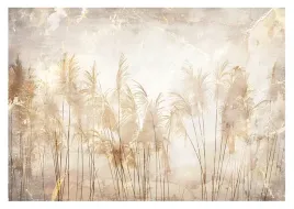 fototapeta-trawa-pampasowa-natura-do-salonu-sypialni-boho-styl