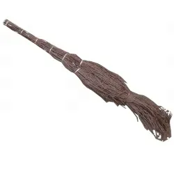 miotla-podworkowa-brzozowa