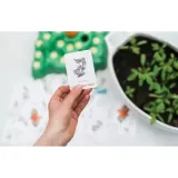 lotti-karotti-deluxe-material-karton-papier-plastik