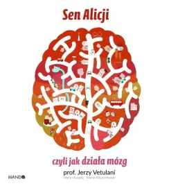 sen-alicji-czyli-jak-dziala-mozg
