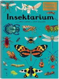 w-muzeum-insektarium-muzeum-owadow