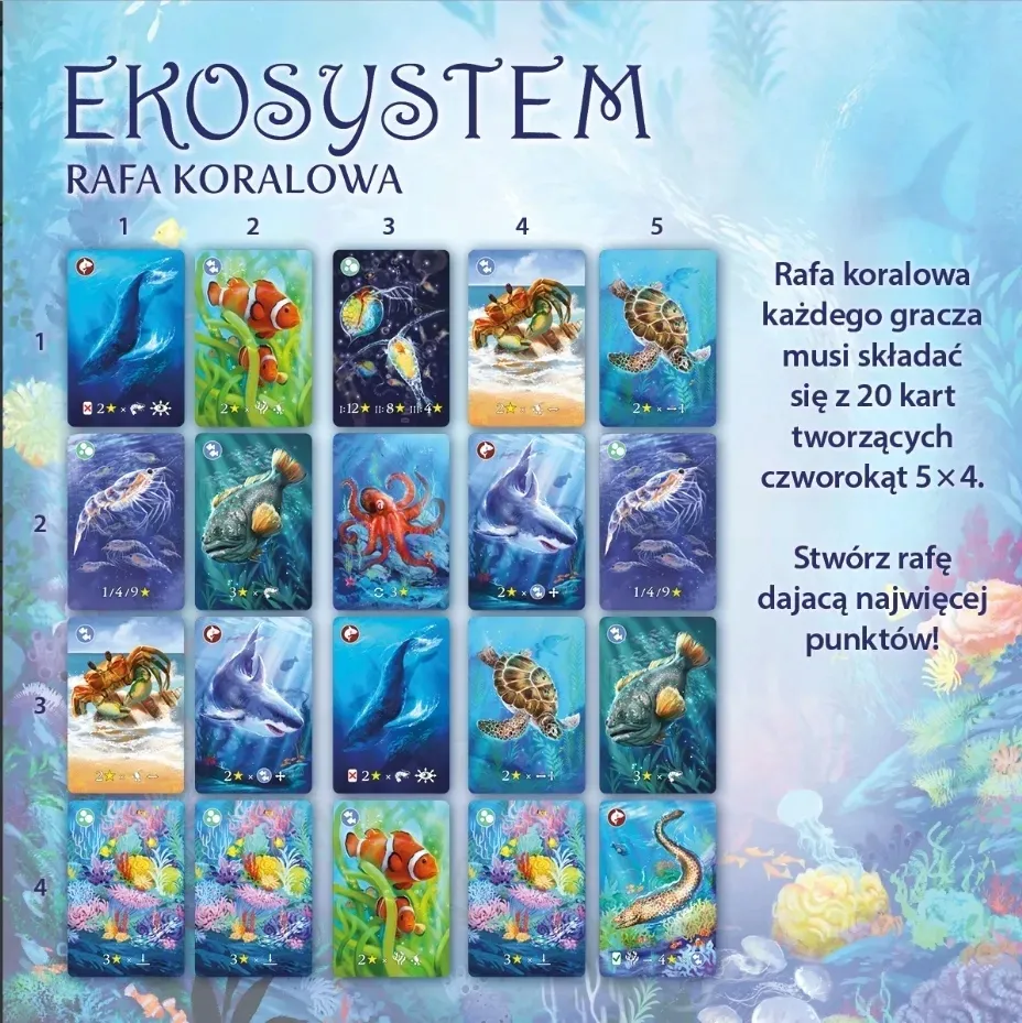 ekosystem-2-rafa-koralowa
