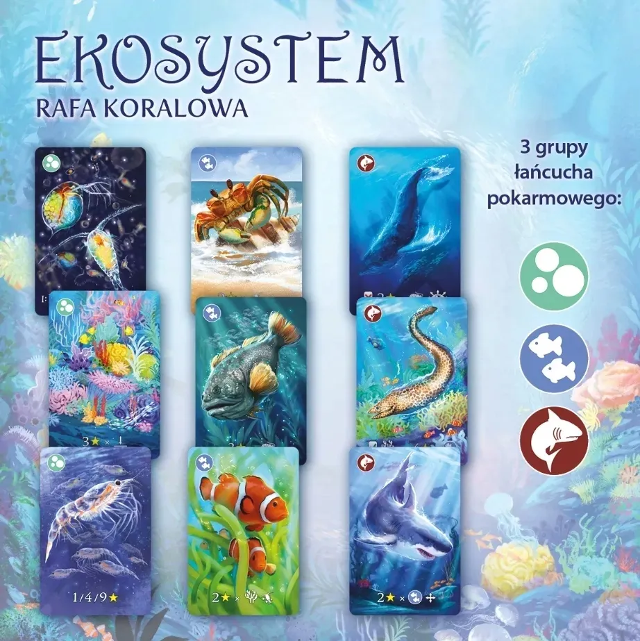 ekosystem-2-rafa-koralowa