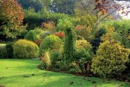 nawoz-jesienny-do-iglakow-drzew-krzewow-lisciastych-bez-azotu-agrecol-5kg