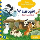 w-europie-podworko-krolik