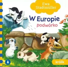 w-europie-podworko-krolik
