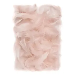 piorka-piora-dekoracyjne-dpcraft-10g-naturalne