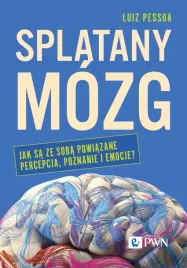 splatany-mozg-jak-sa-ze-soba-powiazane-percepcja-poznanie-i-emocje