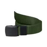 pas-dtb-zielony-stan-nowy