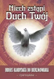 niech-zstapi-duch-twoj-cykl-trzyletni-w-2025