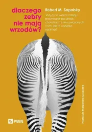 dlaczego-zebry-nie-maja-wrzodow-jedyny-w-swoim-rodzaju-przewodnik-po-stres