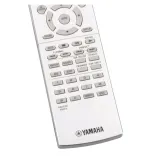 pilot-yamaha-zp601100-rav536-kod-producenta-rav536